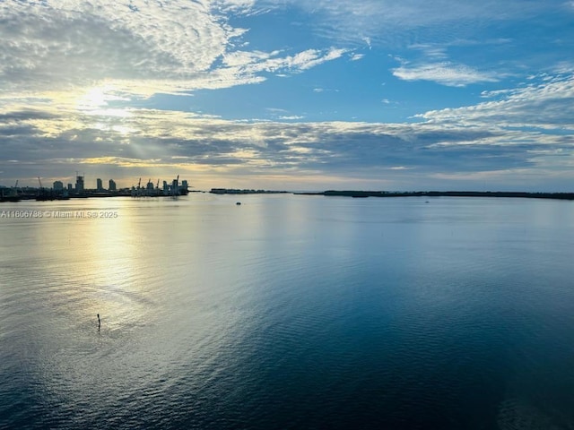 800 Claughton Island Dr Unit 1504, Miami, FL 33131 - water view