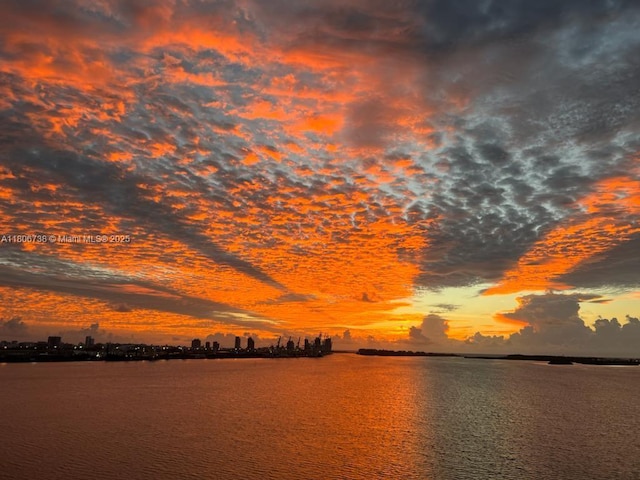 800 Claughton Island Dr Unit 1504, Miami, FL 33131 - water view