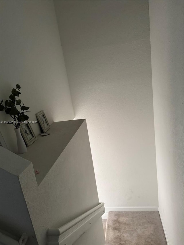 28577 SW 134th Ct, Homestead, FL 33033 - detailed view of carpet flooring and baseboards
