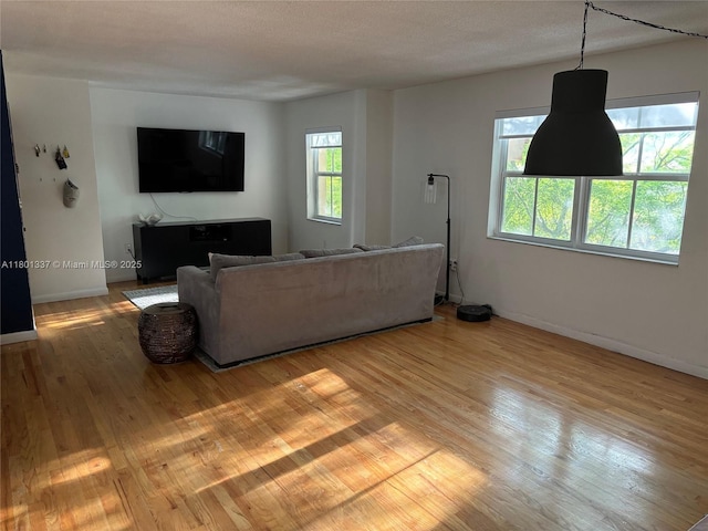 1100 Salzedo St Unit 3A, Coral Gables, FL 33134 - living area with light wood finished floors and baseboards