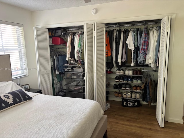 1100 Salzedo St Unit 3A, Coral Gables, FL 33134 - bedroom with wood finished floors, multiple windows, multiple closets, and a textured ceiling