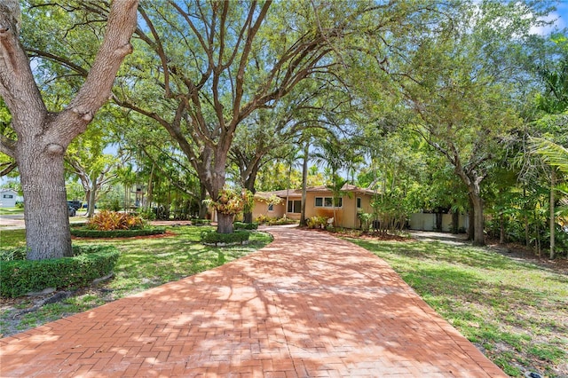 1090 Meadowlark Ave, Miami Springs, FL 33166 - view of front of house with a front lawn and stucco siding