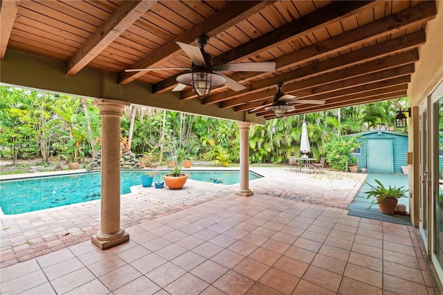 1090 Meadowlark Ave, Miami Springs, FL 33166 - outdoor pool with a patio area, a storage unit, and a ceiling fan