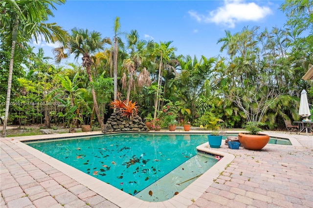 1090 Meadowlark Ave, Miami Springs, FL 33166 - swimming pool with a patio area