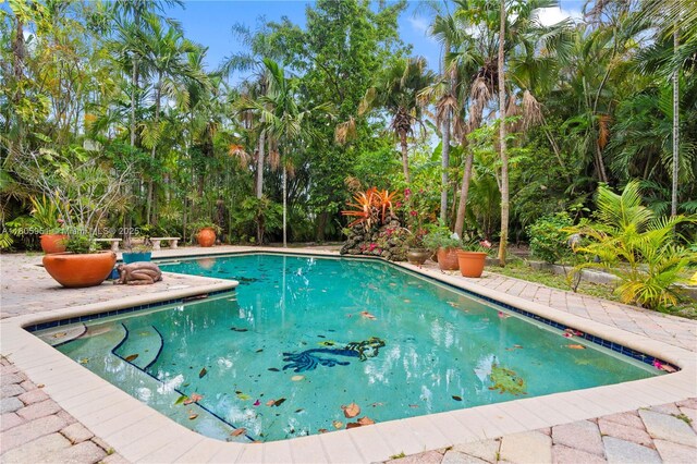 1090 Meadowlark Ave, Miami Springs, FL 33166 - view of swimming pool