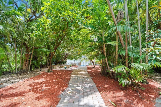 1090 Meadowlark Ave, Miami Springs, FL 33166 - view of yard
