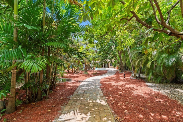 1090 Meadowlark Ave, Miami Springs, FL 33166 - view of community