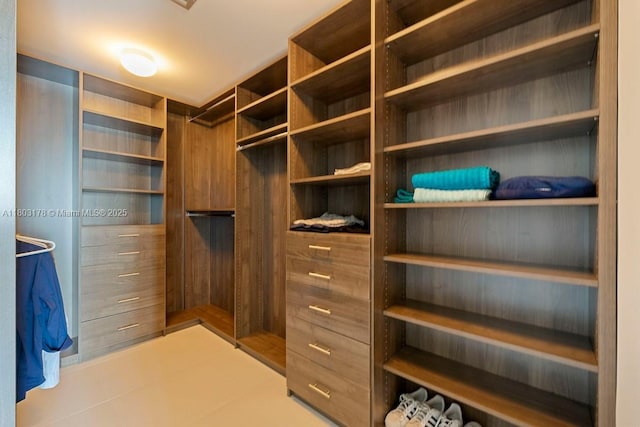 2900 NE 7th Ave Unit 3605, Miami, FL 33137 - view of spacious closet