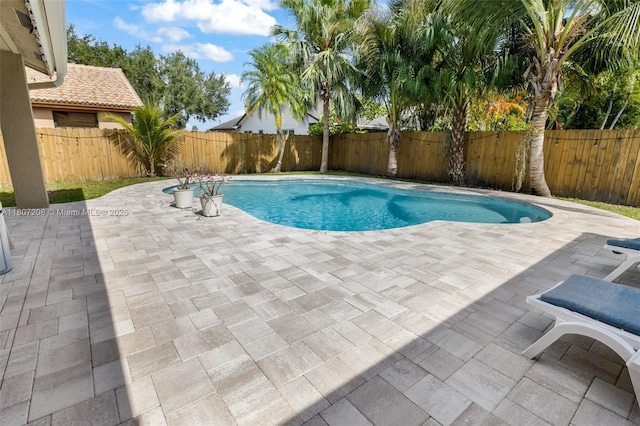 15828 S Ashby Field Rd S, Davie, FL 33331 - view of swimming pool featuring a patio and a fenced backyard