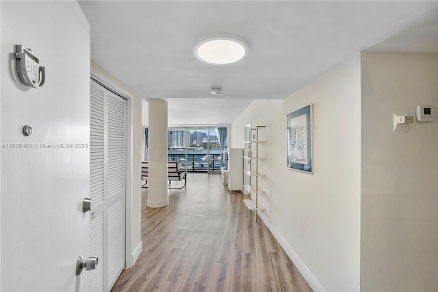900 Bay Dr Unit 210, Miami Beach, FL 33141 - corridor featuring light wood-type flooring, baseboards, and floor to ceiling windows