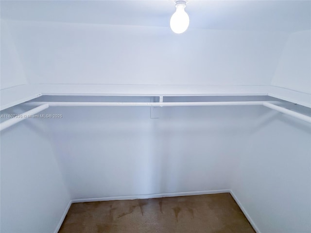 250 174th St Unit 601, Sunny Isles Beach, FL 33160 - spacious closet with carpet