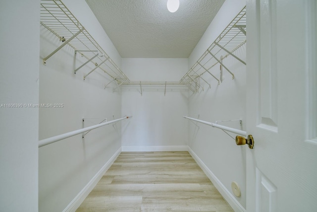 9018 SW 211th Ln, Cutler Bay, FL 33189 - walk in closet featuring wood finished floors