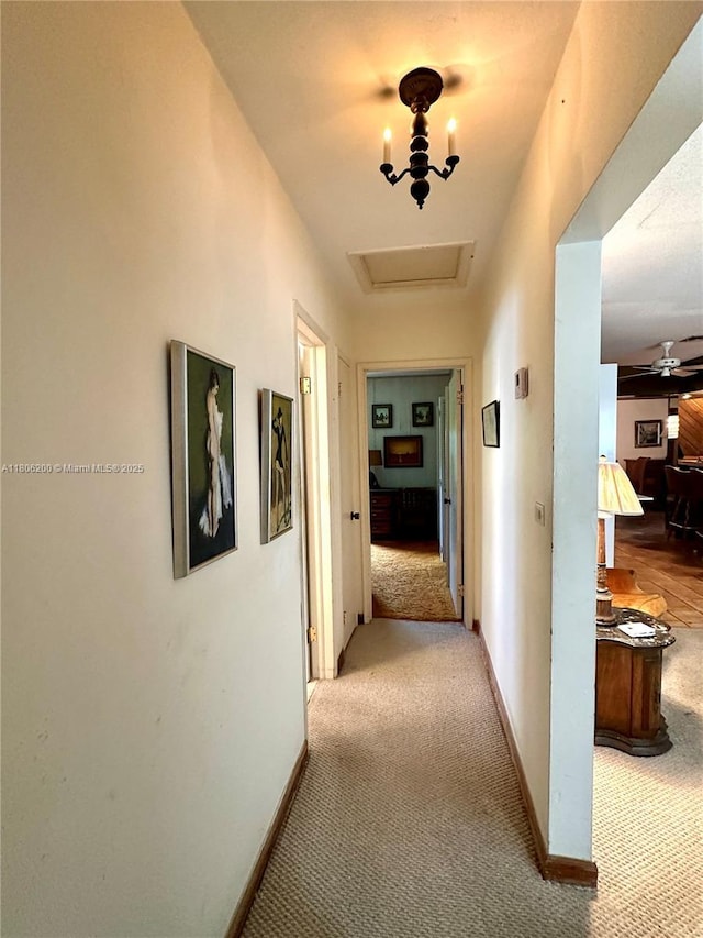 2040 N Hibiscus Dr, North Miami, FL 33181 - corridor featuring carpet and baseboards