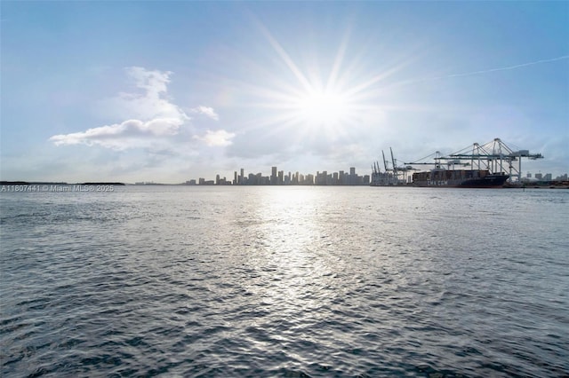 5235 Fisher Island Dr Unit 5235, Miami Beach, FL 33109 - water view
