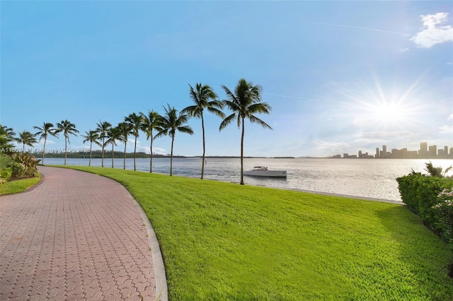 5235 Fisher Island Dr Unit 5235, Miami Beach, FL 33109 - view of community with a yard and a water view