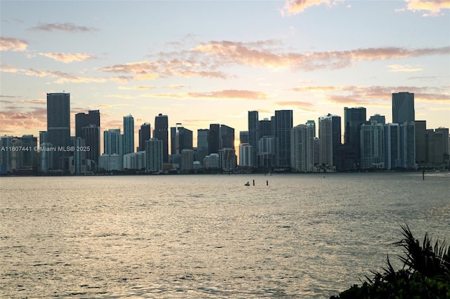 5235 Fisher Island Dr Unit 5235, Miami Beach, FL 33109 - skyline view featuring a large body of water