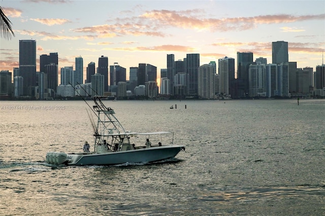 5235 Fisher Island Dr Unit 5235, Miami Beach, FL 33109 - water view featuring skyline
