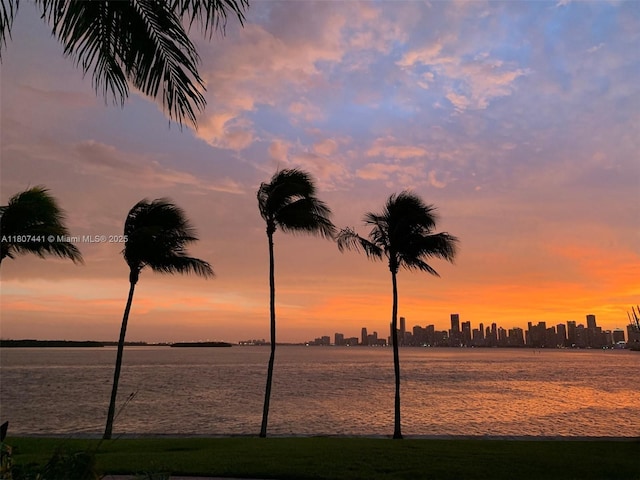 5235 Fisher Island Dr Unit 5235, Miami Beach, FL 33109 - water view featuring city skyline