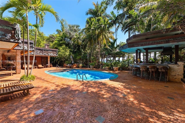 5725 N Bayshore Dr, Miami, FL 33137 - swimming pool featuring a patio and exterior bar