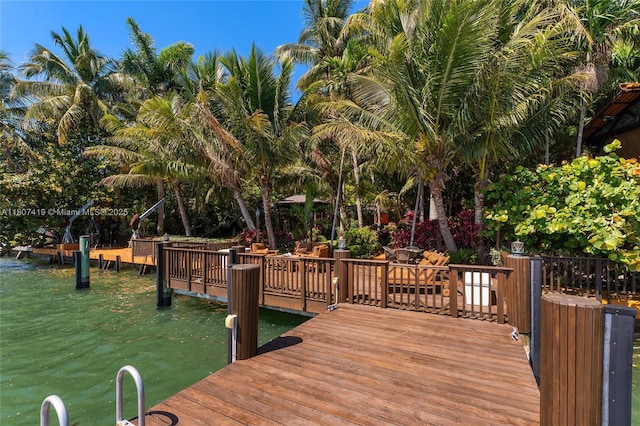 5725 N Bayshore Dr, Miami, FL 33137 - view of dock area
