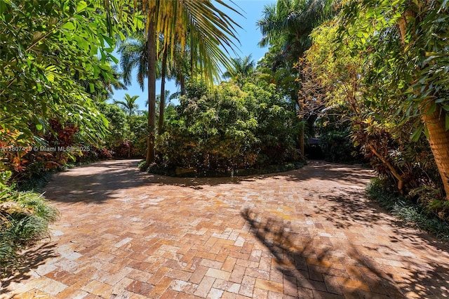 5725 N Bayshore Dr, Miami, FL 33137 - view of yard