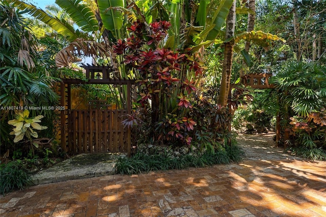 5725 N Bayshore Dr, Miami, FL 33137 - view of yard with a patio area