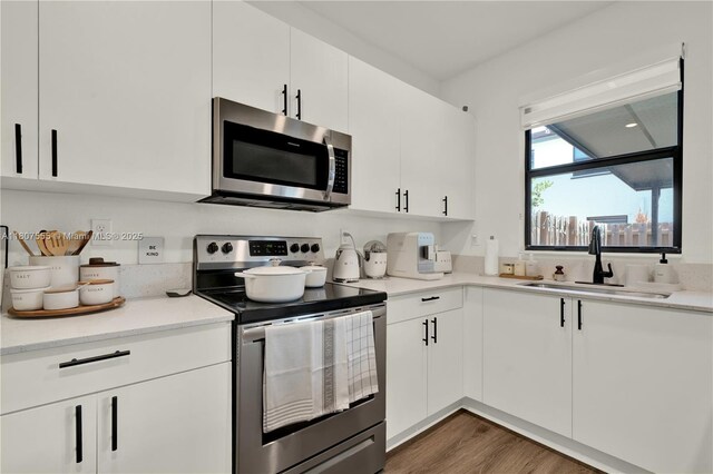 12982 SW 232nd Ln, Miami, FL 33170 - kitchen with appliances with stainless steel finishes, a sink, white cabinetry, and light countertops