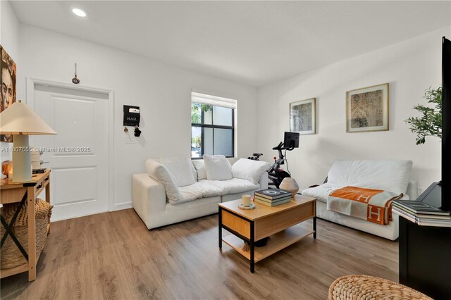 12982 SW 232nd Ln, Miami, FL 33170 - living area with light wood finished floors and recessed lighting
