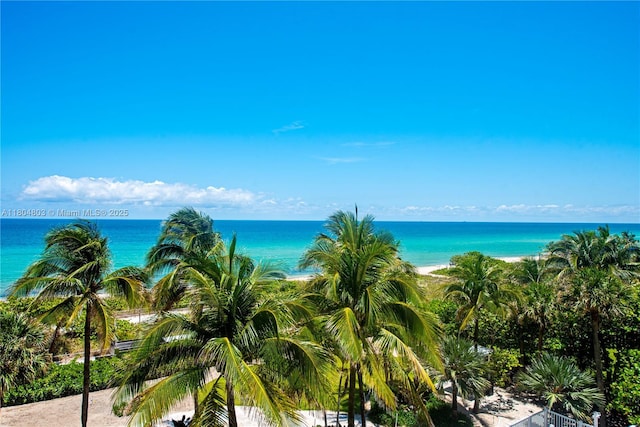 8925 Collins Ave Unit 4A, Surfside, FL 33154 - water view
