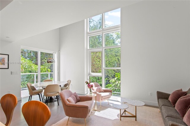 455 NE 39th St Unit 102, Miami, FL 33137 - living area with a towering ceiling, baseboards, healthy amount of natural light, and wood finished floors