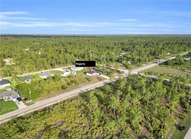 1844 Richmond Ave, Lehigh Acres, FL 33972 - photo 6