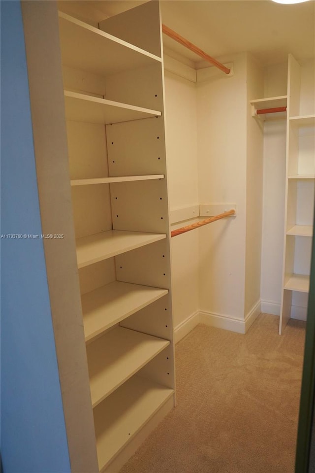 500 Three Islands Blvd Unit 106, Hallandale Beach, FL 33009 - spacious closet featuring carpet