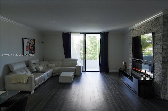 500 Three Islands Blvd Unit 106, Hallandale Beach, FL 33009 - living area featuring dark wood-style floors, ornamental molding, a fireplace, and baseboards
