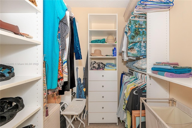 3051 NE 48th St Unit 604, Fort Lauderdale, FL 33308 - view of walk in closet