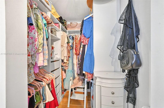 2075 SW 122nd Ave Unit 517, Miami, FL 33175 - walk in closet with wood finished floors