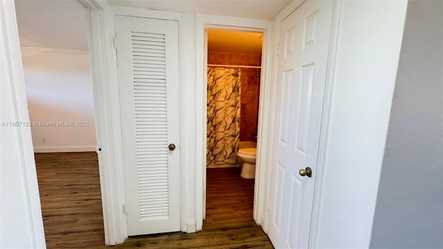 11195 SW 1st St Unit 319, Sweetwater, FL 33174 - hallway with dark wood finished floors and baseboards