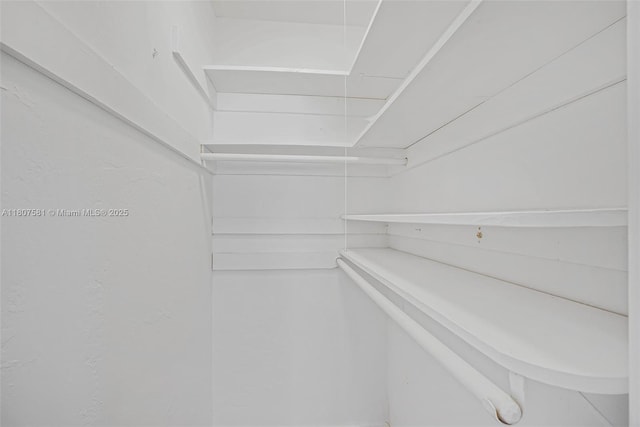 9710 Haitian Dr, Cutler Bay, FL 33189 - view of spacious closet