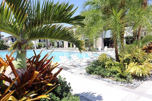 8201 NW 41st St Unit D-402, Doral, FL 33166 - community pool with a patio area