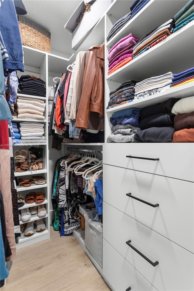 4017 W Gardenia Ave, Weston, FL 33332 - spacious closet with wood finished floors