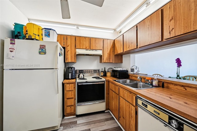 2391 NW 89th Dr Unit 409, Coral Springs, FL 33065 - kitchen with white appliances, under cabinet range hood, a sink, light wood-style floors, and ceiling fan