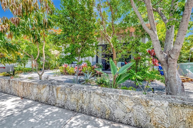3642 William Ave, Coconut Grove, FL 33133 - photo 3