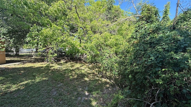 1230 NW 113th Ter, Miami, FL 33167 - photo 3
