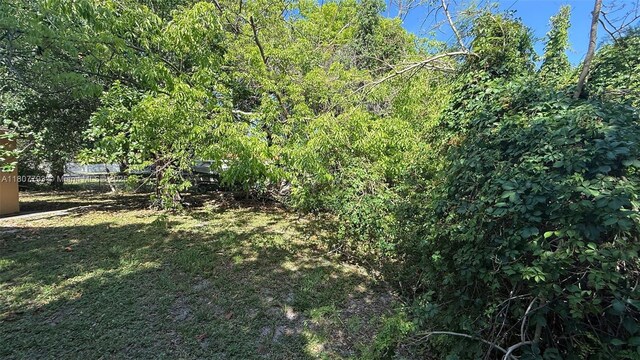 1230 NW 113th Ter, Miami, FL 33167 - view of yard