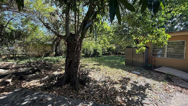 1230 NW 113th Ter, Miami, FL 33167 - view of yard
