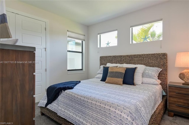 311 SE 14th St, Cape Coral, FL 33990 - bedroom with carpet flooring