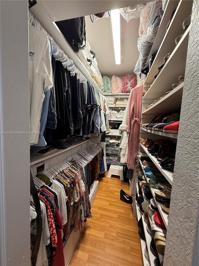 15029 SW 8th Ter, Miami, FL 33194 - walk in closet with wood finished floors