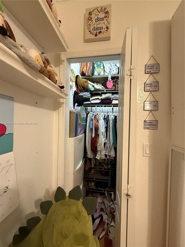 15029 SW 8th Ter, Miami, FL 33194 - view of spacious closet