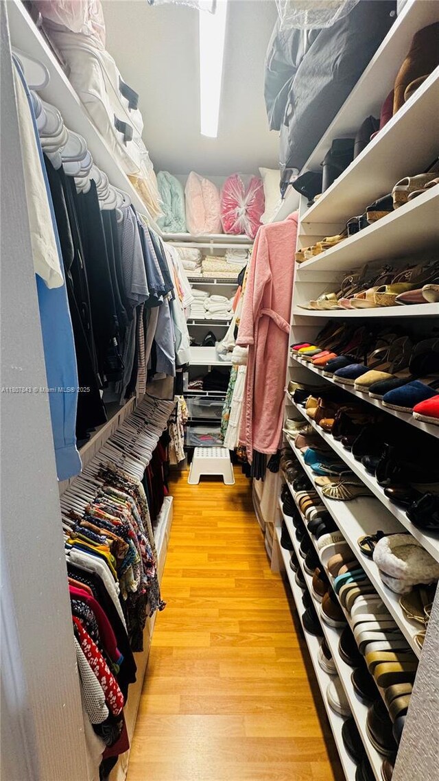 15029 SW 8th Ter, Miami, FL 33194 - walk in closet with light wood-style flooring