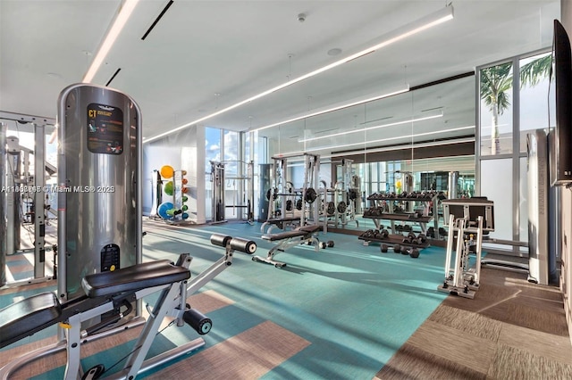 3900 Biscayne Blvd Unit N-905, Miami, FL 33137 - gym featuring carpet flooring