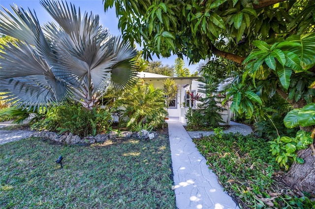 12125 NE 5th Ave, North Miami, FL 33161 - view of yard